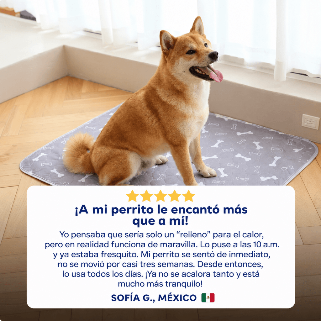 Reviari - Tapete Lavable Antifugas para Perros