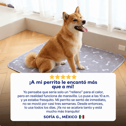 Reviari - Tapete Lavable Antifugas para Perros