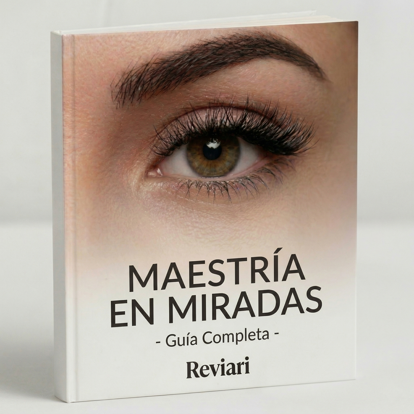 Ebook Maestría en Miradas